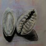 Bukola paint